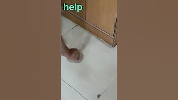 vitrified damage tile change