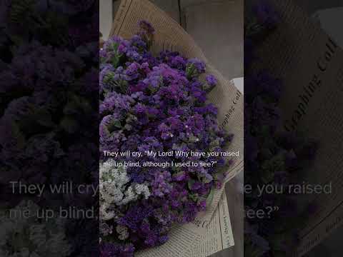 و من أعرض عن ذكري فإن له معيشة ضنكا القارئ اسلام صبحي