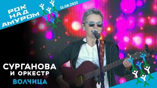 Волчица - Сурганова И Оркестр (Рок Над Амуром, 21.08.2022)