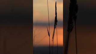 Nsync - Bye Bye Bye La Mejor Música Para Disfrutar La Noche Está En Ortv. Bienvenidos.