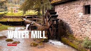 Water Mill Sounds for Deep Relaxation & Sleep & Focus | 4HR Nature Ambience & Water ASMR Water Mill Sounds for Deep Relaxation & Sleep & Focus | 4HR Nature Ambience & Water ASMR