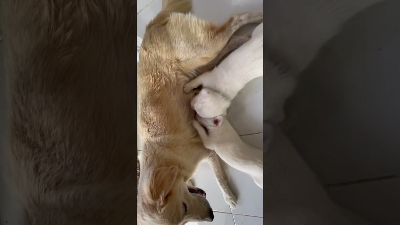 Every minute routine 