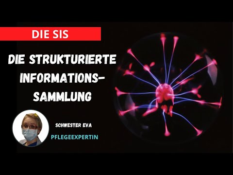 Die Strukturierte Informationssammlung!