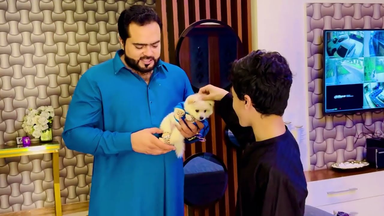 World smallest breed ka puppy gift Kia subhan ko
