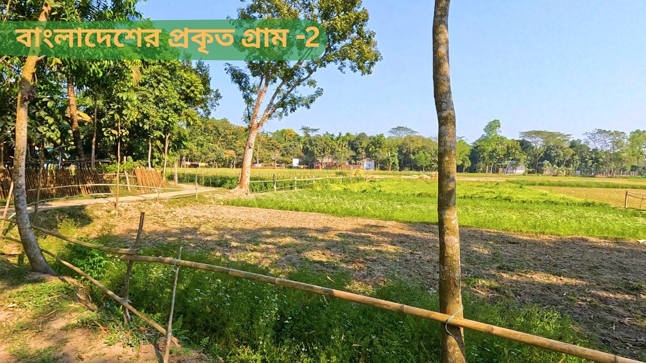 বাংলাদেশের প্রকৃত গ্রাম Part-2 | Real Village Life in Bangladesh | Rural Beauty