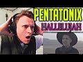 FIRST TIME REACTION: PENTATONIX - HALLELUJAH REACTION!