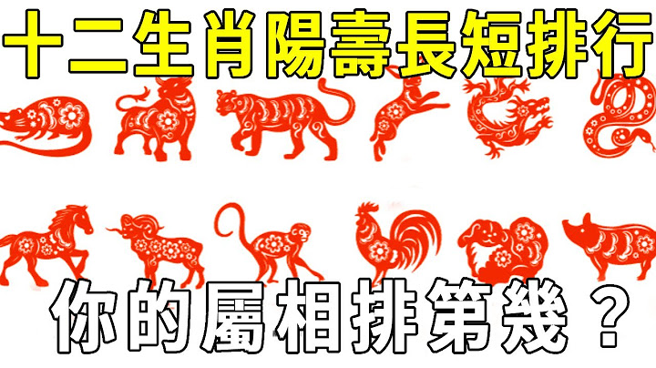 十二生肖阳寿长短排行！这个属相的人，从出生就有福神保佑，轻松活到100岁！快来看看是你吗【晓书说】 - 天天要闻