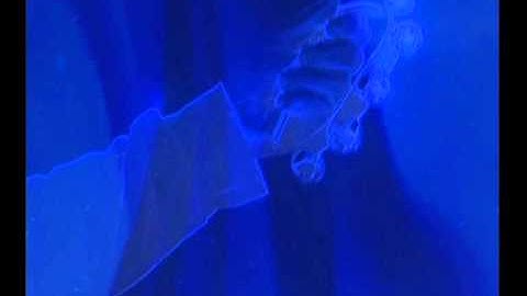 Vànova - "Come into the warm"