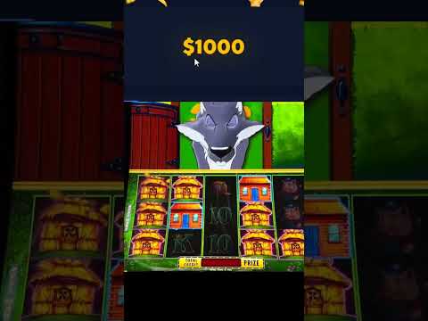 Need Help at ClubHouse Casino? Learn How to Access Fast and Efficient Customer Support