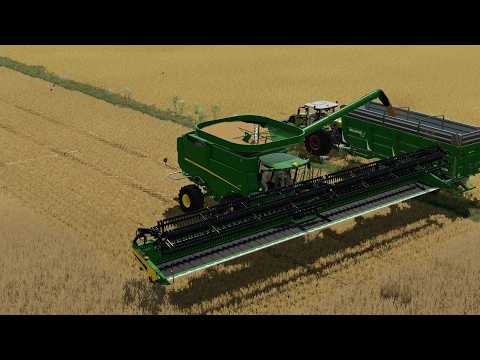 Nowy heder do kombajnu i nowe problemy... Zaczynamy żniwa pszenicy! Timelapse Rozwojowy rolnik#277