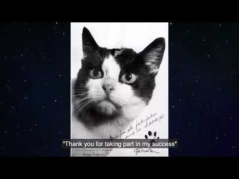 Félicette, first cat in space