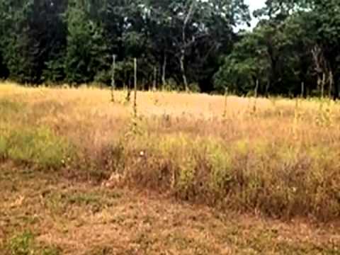 1105 Deer Run, Cambridge, MN home video tour