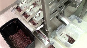 Cacao Cucina Cocoa Bean Cleaner