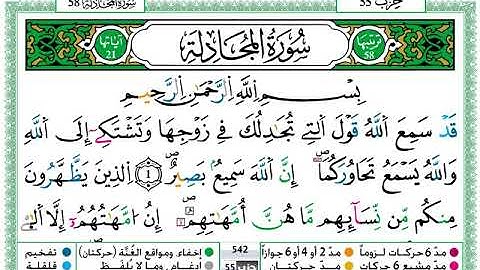 سورة المجادلة برواية ورش عن نافع حمزة الجزائري 😍❤تلاوة رائعة و هادئة