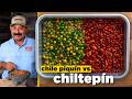 Chiltepín vs Chile Piquín: 4 Delicious Fresh &amp; Dried Salsa Recipes "Chiquitos Pero Picosos"