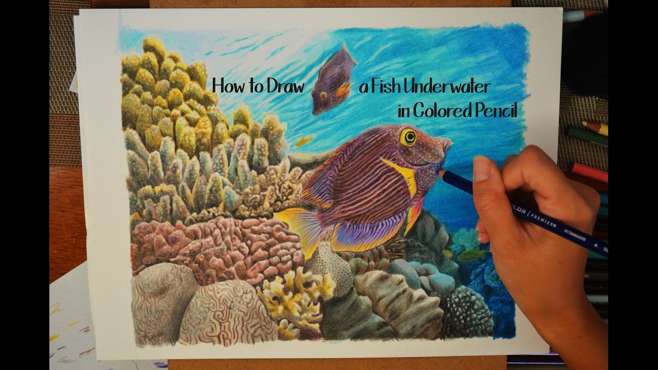 How to Draw a Realistic Fish Underwater in Colored Pencil - YouTube