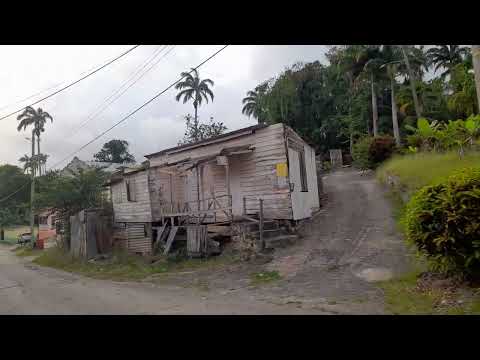 A Walk Through Parris Hill St. Joseph Barbados🇧🇧