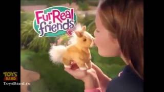 Ходячие ласковые пони FurReal Friends Hasbro