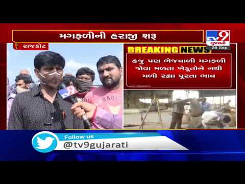 Rajkot: Auction of groundnut begins at Bedi marketing yard, farmers disappointed over unfair prices