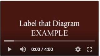 Label that Diagram Manual Example for Classroom