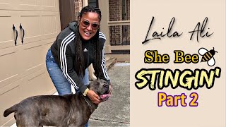 Roadtrip to meet The Champ   Laila Ali transport (Part 2) | Twelve Titans Cane Corso