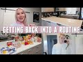 VLOG | getting back into my routine | clean w/ me, grocery haul, + cooking for one