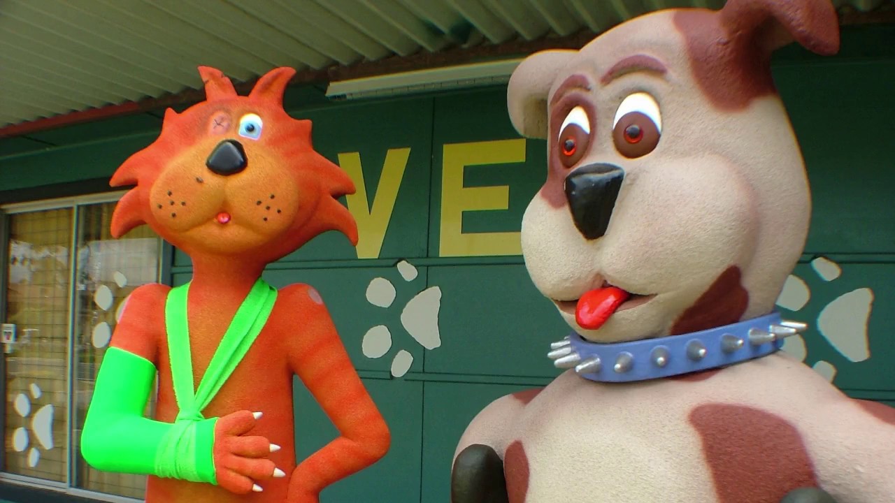 The HISTORY of AUSTRALIND VET and TREENDALE PET MEDICAL YouTube