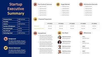 Startup Executive Summary PowerPoint Presentation Slide | Kridha Graphics