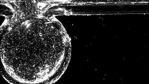 flow visualization around aneurysm model (Re=850)