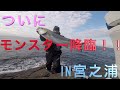 [カゴ釣り] 上カゴヒラマサ釣り　宮之浦　下阿値賀 の動画、YouTube動画。