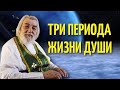 Три периода Жизни Души - Иоанн (Крестьянкин)