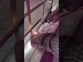 A female operator is welding with ease — that’s how user-friendly handheld laser welding has become.