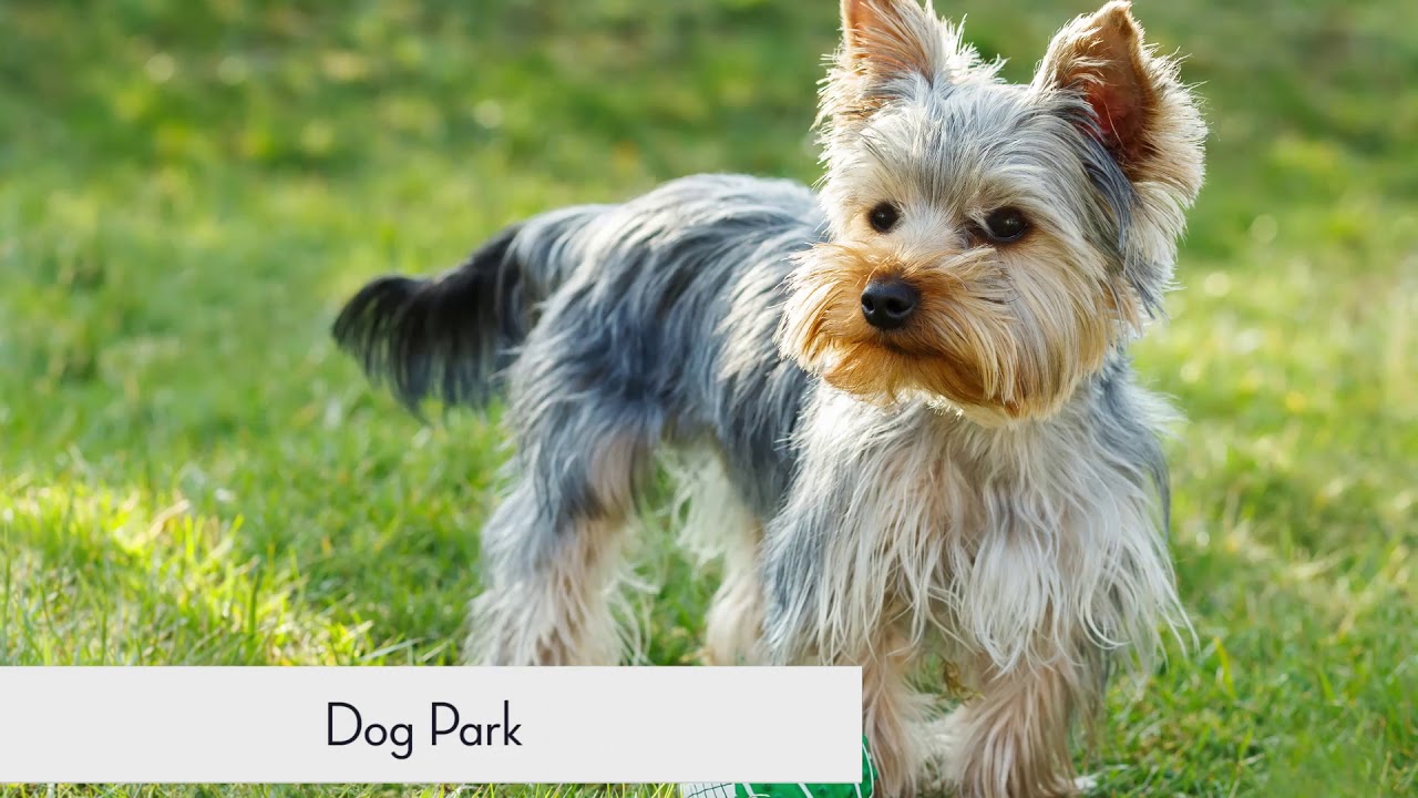 Inwood Village Apartments Omaha, NE YouTube