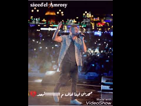 عمرو دياب الومك ليه حالات واتس