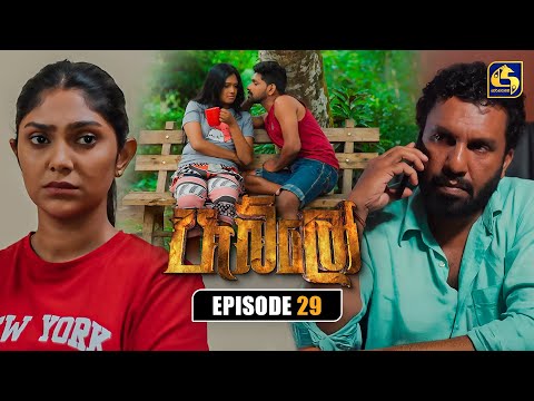Pablo ප බ ල Episode 29 16th August 2025 Swarnavahini