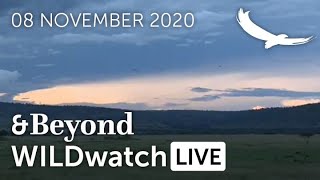 WILDwatch Live | 08 November, 2020 | Afternoon Safari | South Africa