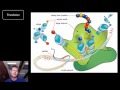 DNA and RNA: Unraveling Their Structure and Function in Genetics