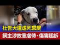 杜告犬遭虐死棄屍 飼主涉故意虐待、傷害起訴