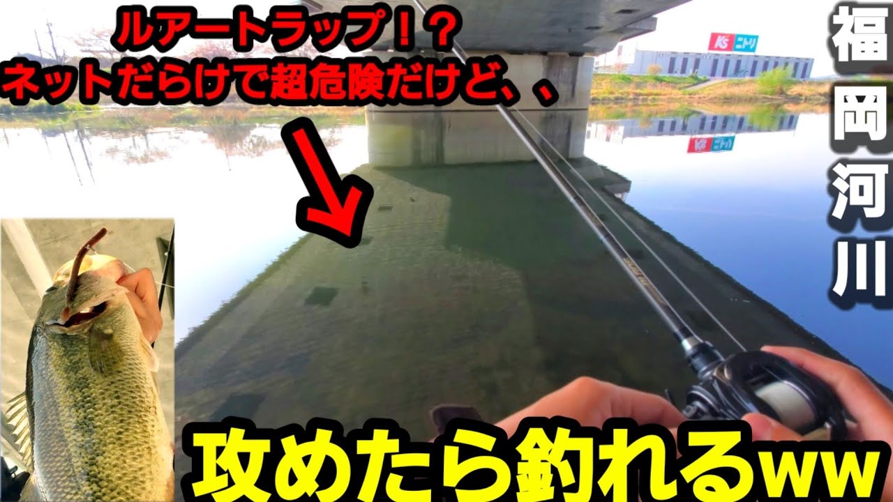 バス釣り ルアートラップ ネットだらけの超危険エリアに潜むデカバス 福岡 ボトムアップ ブレーバー ブラックバス 外来魚 春 春バス釣り Vlog 山陰釣り新報 バス釣り ルアートラップ ネットだらけの超危険エリアに潜むデカバス 福岡 ボトムアップ ブレーバー ブラックバス 外来魚 春 春バス釣り Vlog 山陰釣り新報