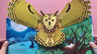 Usborne Pop-Up Birds