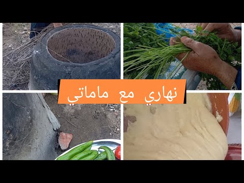 نهاري مع ماماتي عصيدة قطانية خبز قطانية سلاطة مشوية مرقة خظرة