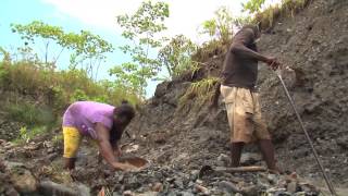 Colombia&#39;s Green Gold Movement