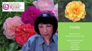 Meet the American Garden Rose Selections™