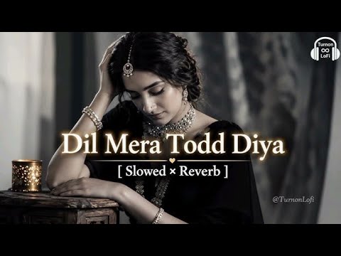 She Broke My Heart | [Slowed+Reverb] Alka Yagnik | Kasoor | Aftab Shivdasani, Lisa Ray |