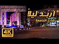 Yarmouk University Street Night Drive 4K Irbid 