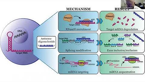 Grand rounds- Inherited neuropathies and CMTD- Dr. Michael Shy- Nov 18, 2022