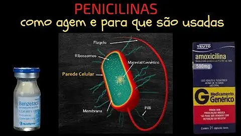 Para que é indicado a penicilina cristalina?