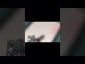 Untitled video
