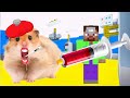 🐹MEGA HAMSTER ESCAPE 🐹 maze with Traps hamster🐹 Minecraft Maze😱 [OBSTACLE COURSE] 😱