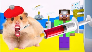 🐹MEGA HAMSTER ESCAPE 🐹 maze with Traps hamster🐹 Minecraft Maze😱 [OBSTACLE COURSE] 😱